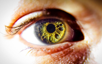 Iris de un ojo